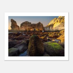 279989a8-663b-40ef-b219-fe1c8cdf51fd