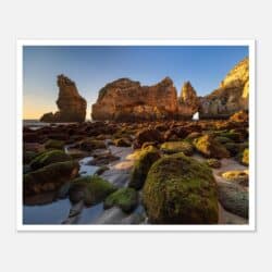 2828f199-eb41-4e19-ae91-f08783f16e02