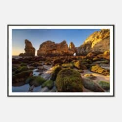 2972150f-695d-4c0b-8b32-e7be17ccf804