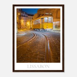 2c538f2e-fb2d-427b-8cb9-10031eb1b5db