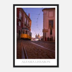 2cf376cb-e477-44d9-bc27-1734c25fca1b