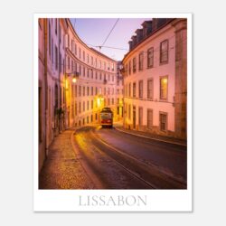 2d7d625d-118c-4568-bb91-4f049152c9ba