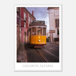 2de5d55a-a7fc-4579-ac65-e9ddb764d2f2