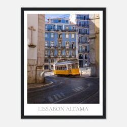 308c7401-907d-49f6-9dab-5afc1d974242