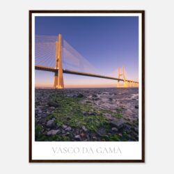 3146f74c-1a45-4594-9bff-34e89af76c69