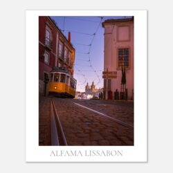 31d5a182-0667-4da7-b9a6-80fd3850fd9c