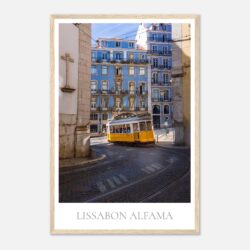 32d4d231-3b08-4e2d-82b8-65c5b72840cc