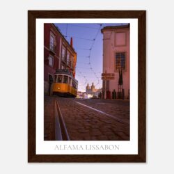 3bd5c2fb-2570-4fe3-84b9-3a73860f1206