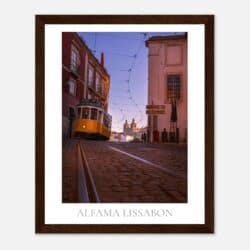 3f2f9609-7a44-4366-8e3b-f1feb72a08f1