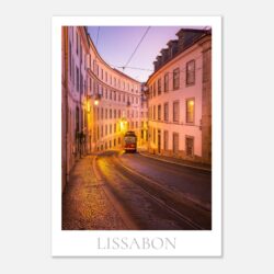 3f95a9fa-1120-44ac-9dc0-6e2441921020