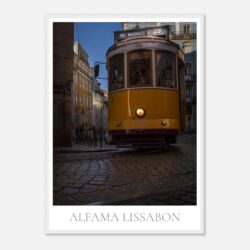 40be2654-dcad-45f8-90e3-d1390d18ef46