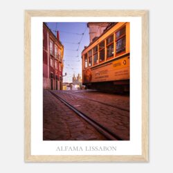 42a097e5-d910-454a-8532-e4e1ae92c28c