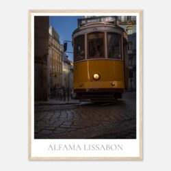 447f25b2-8e20-46d9-a32f-facea8d77875