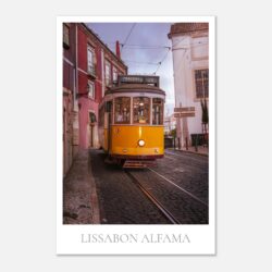 4770d186-5ee6-4ee4-a05c-0d69a2b8b646