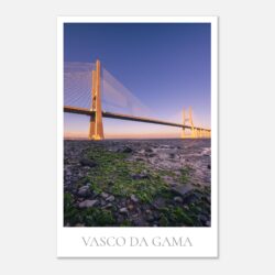 48d6ac94-220c-44f5-af8f-4253fb25be74