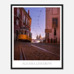 49883843-75bf-4453-9d10-3bfc5e9076ba