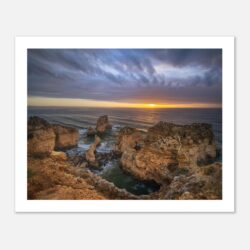 50108631-8c95-4ae1-9ad2-06d941dc164c