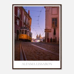 51e23a5e-a305-4644-933f-6f7cdeead193