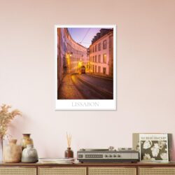 52d6fe81-d2f7-4c34-a2bf-7b1d2ae6e45a