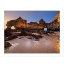 5461c201-35f8-4b11-beb8-02cce7b0c562