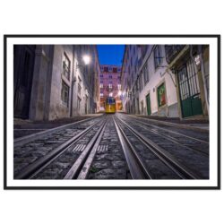 54e4b1c7-4979-495c-95a9-5d2733eb8cc1