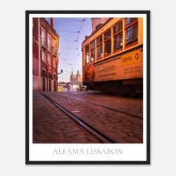 566b51e8-7b39-4654-8bdf-a410a4382471