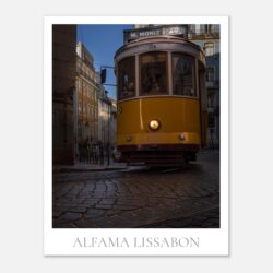 5a10c217-3f15-4257-a5bb-9dcbf1e64634