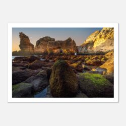 5a834214-db72-4b4a-8bac-9416a0a7d7e3