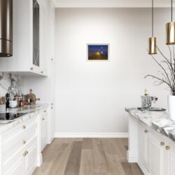 5a8ff4d3-35e0-4d57-a697-b18548f3e436