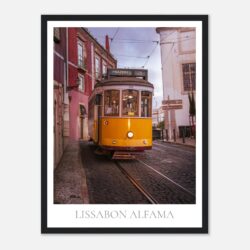 5db306f8-a44e-499a-908f-9f57a6237b07