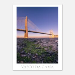 5de7d214-3e66-4afb-a310-bf47b7f4e021