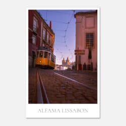 5e13f18d-9230-48eb-b474-d4b604bd93b8