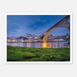 5f19b417-13fc-4217-a0f8-d108b5df9699