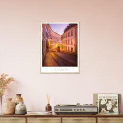 5fa78625-4cbb-4f13-9c0b-7fca39c3c2af