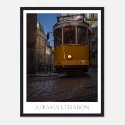 5fb197ab-89bf-4a78-861a-05ed420e7110