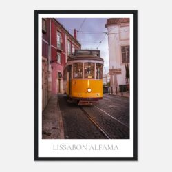 602f3471-3ab0-48e8-93db-3296a33236f8