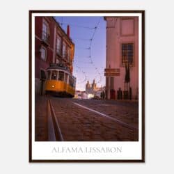 62630e09-3c82-4a44-b6c4-ad85d5230404