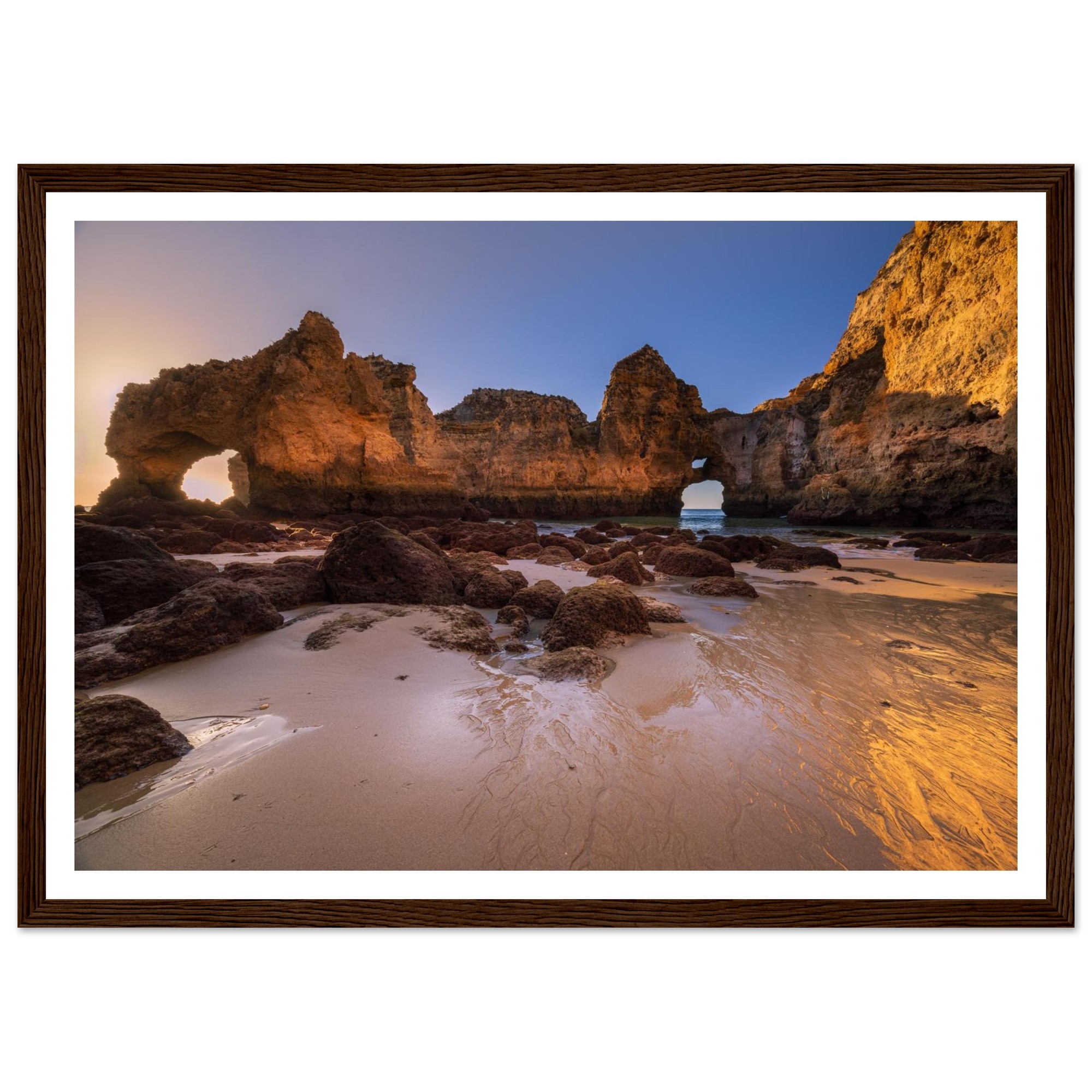 64fabb72-9223-42e7-a909-b6fddc24c47d