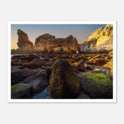 674ebf61-466a-440d-bf7c-399c0a2c508d