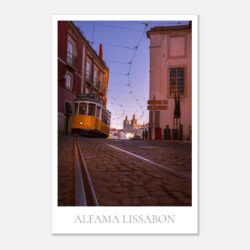 681dd25f-018b-4326-a423-fd57226862b3