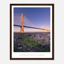 6ab9ee2e-d844-4944-80a3-f8e81c7466c5