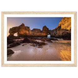 6fdf21f2-d6ee-44f6-90a3-6132181dbcb0