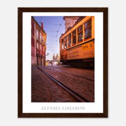 7067408b-cee5-49a0-a940-7a3917bc9e16