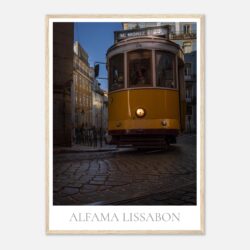 71a58866-5cd7-4820-b600-0e53b3635239