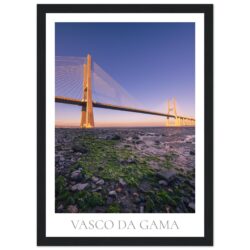 771a6d03-01af-4fdd-856b-a1b27bc8a139