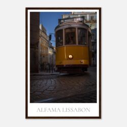 78e3aa7d-ba3f-41b7-a79a-b36978f6a29d