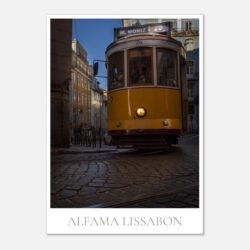 7a5b222e-ecd0-43e9-ac62-c1deeb3004e6