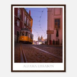 7a71d4e9-beb5-4c6b-8ebe-7b9b8d5d4c11