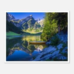 7bf56f35-8d14-495d-bf06-889b940153e5