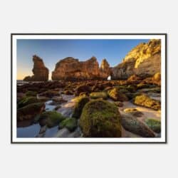 7d5f0189-d8d2-4327-ad72-cfe778698648